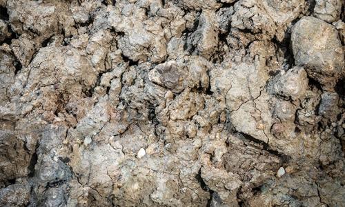 Kleigrond, natte grond